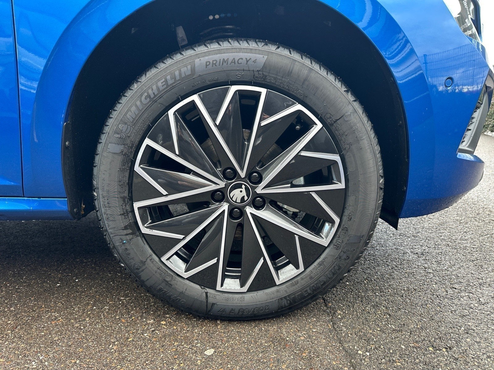 Skoda - Kamiq Tour 1,5 TSI DSG Navi Assistenten